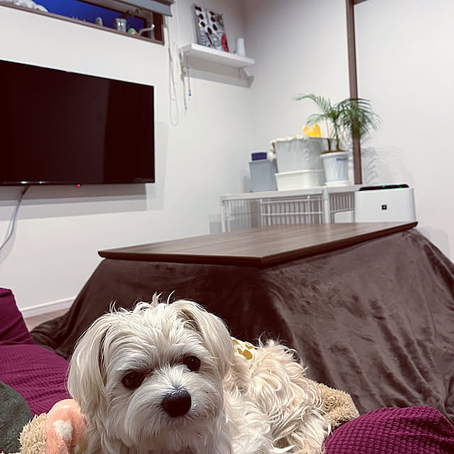 seiさんの実例写真