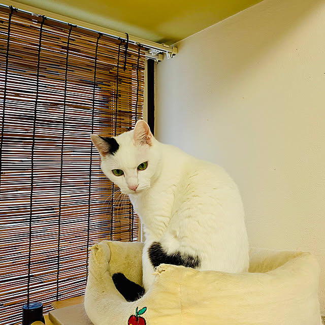YUKAさんの部屋