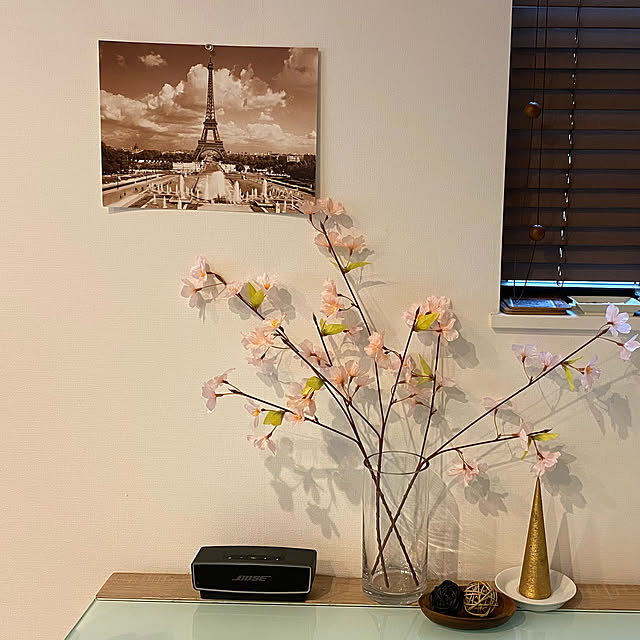 Shinakoさんの実例写真
