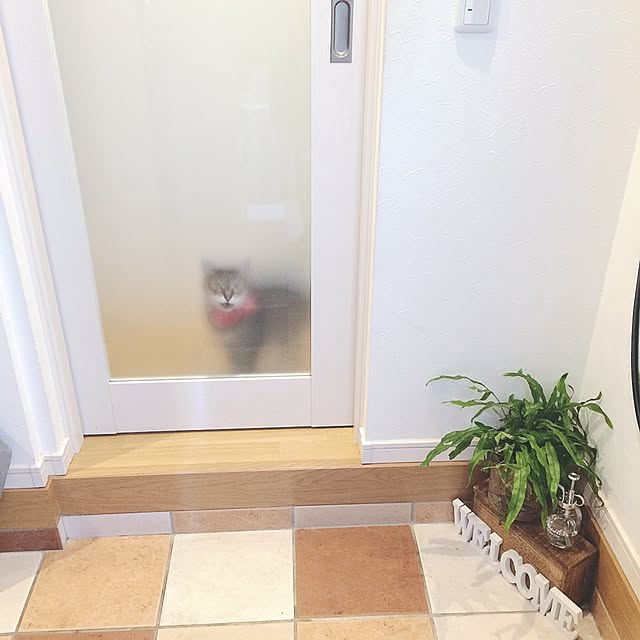 lovecatさんの実例写真