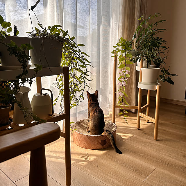 lucianoさんの実例写真