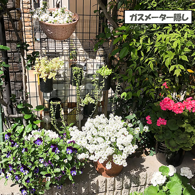 KirinPandaさんの実例写真