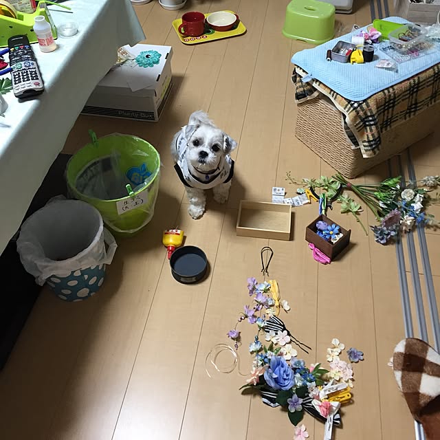 emiさんの実例写真