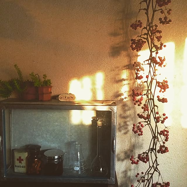 edenさんの実例写真