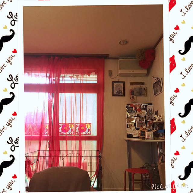 shibaさんの実例写真