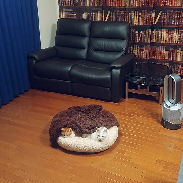 NOAHさんの部屋