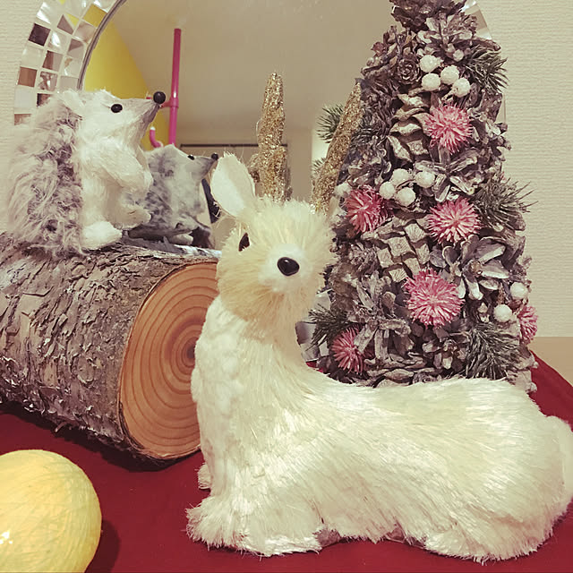 soraraさんの実例写真