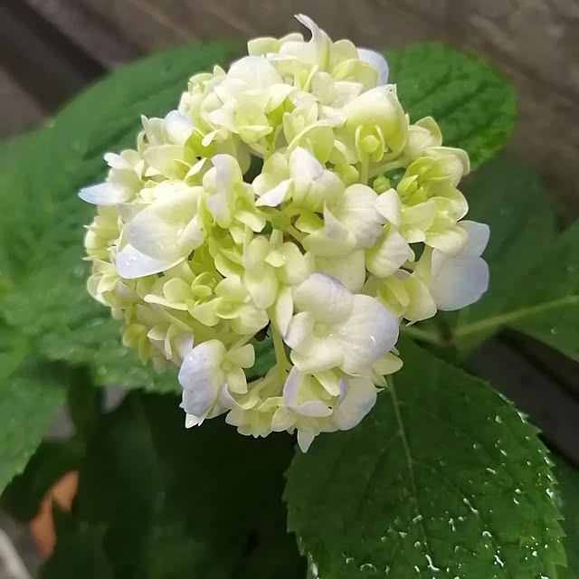 teruminさんの部屋