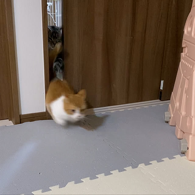 KotarouKunさんの実例写真