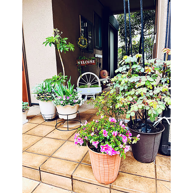 NAOさんの部屋
