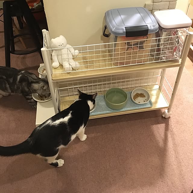 mikomaruさんの実例写真