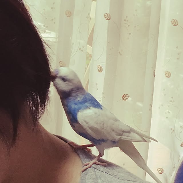 natalieさんの実例写真