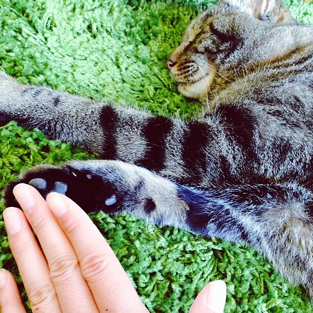 aiさんの実例写真