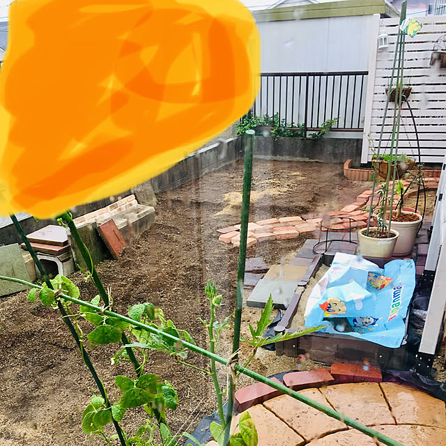 YUZUさんの実例写真