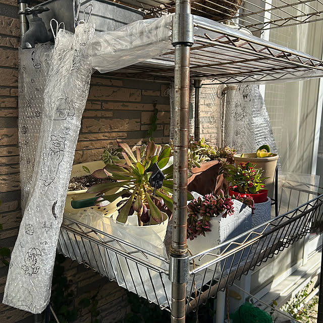 Lufuさんの部屋