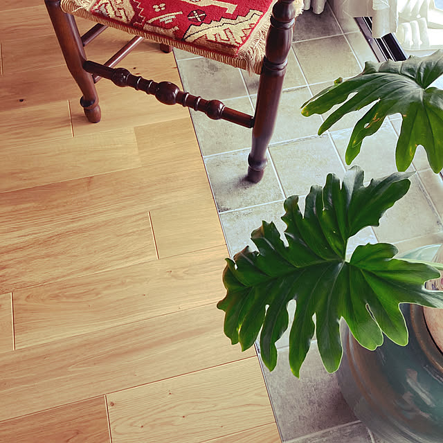 apple_apricot_houseさんの実例写真