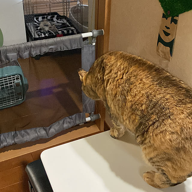 hansho.sさんの実例写真