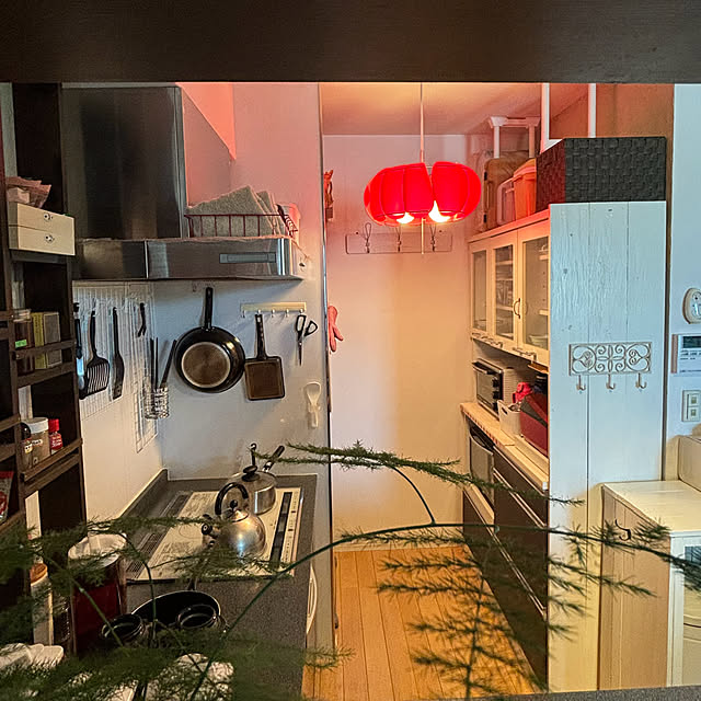 koshiregutyoさんの部屋