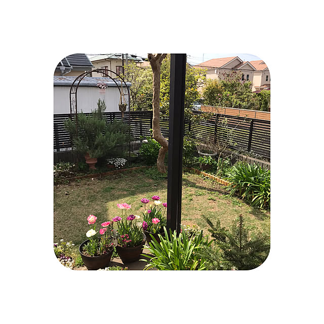 Meimamaosaruさんの実例写真
