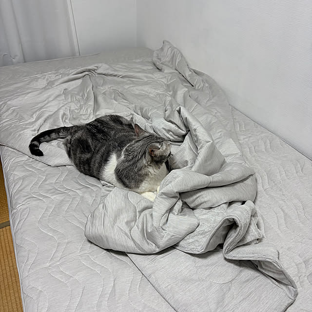Atelier.mさんの部屋
