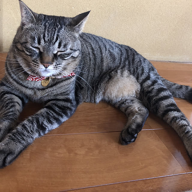 earthさんの実例写真