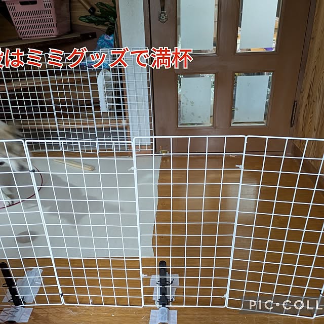 asaさんの部屋