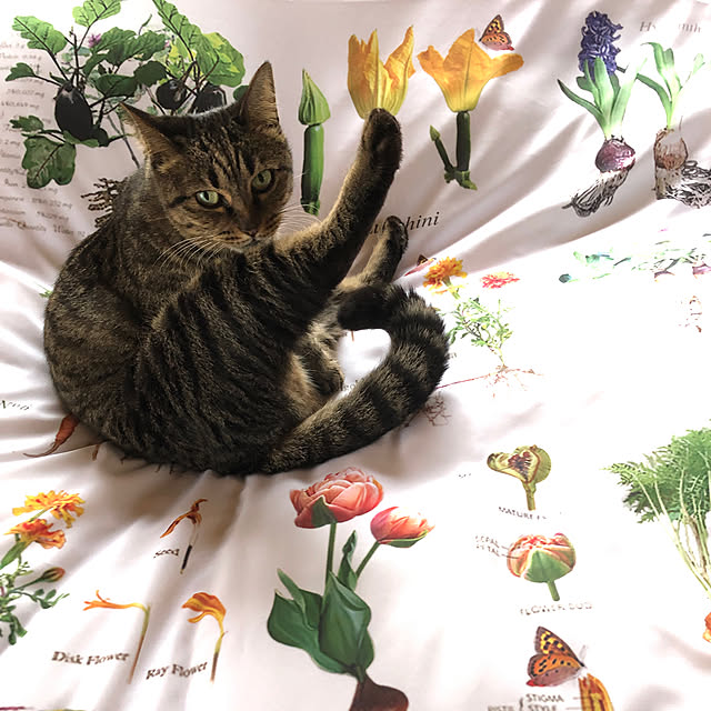weさんの実例写真