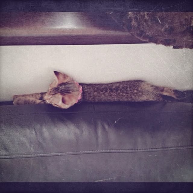 konatsuさんの実例写真