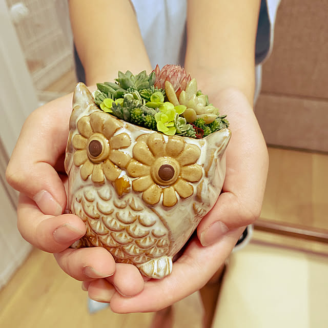 okapiさんの実例写真
