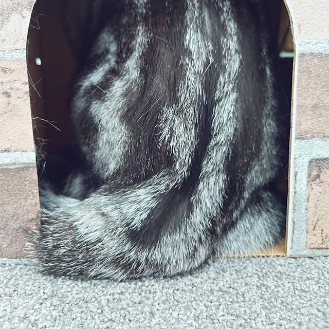 NANACOCOさんの実例写真