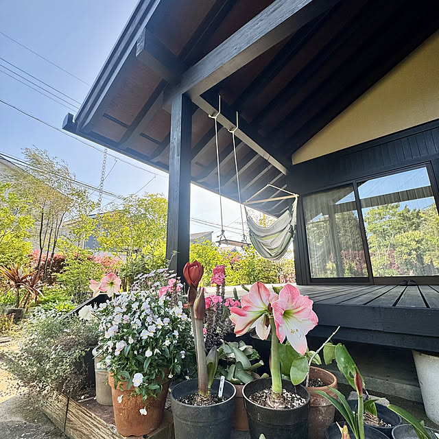 onsix777さんの部屋