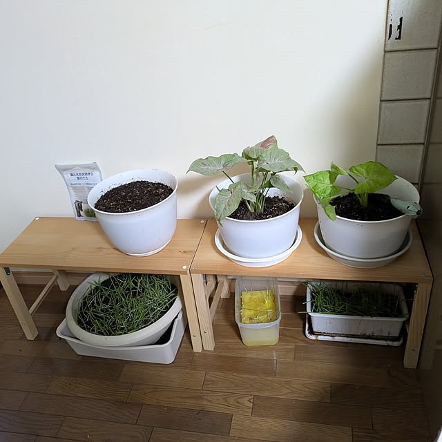 asaさんの部屋