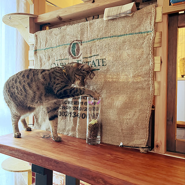 Mさんの実例写真