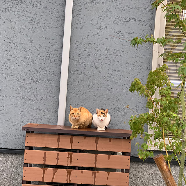 h_home.hさんの実例写真