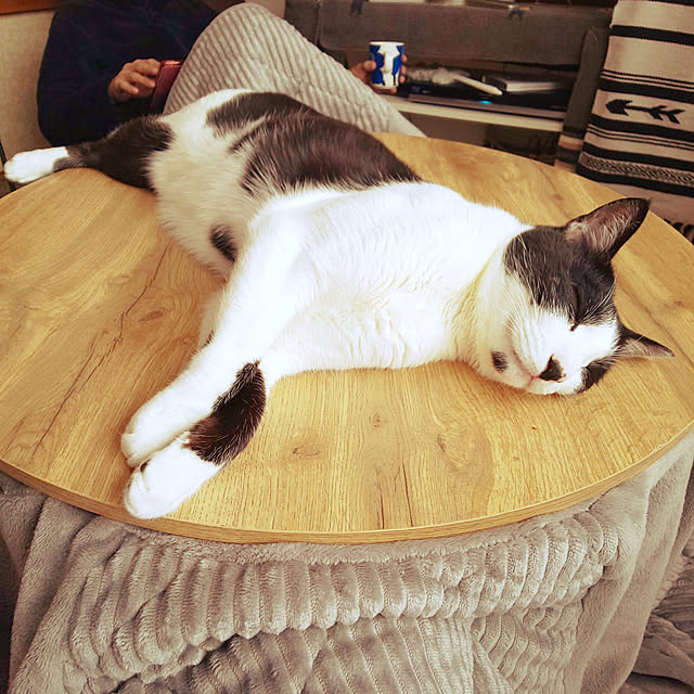 oseroさんの実例写真