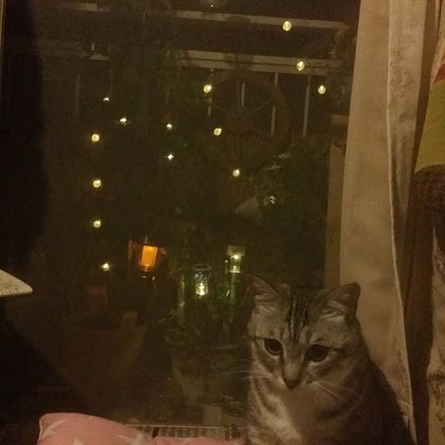 annさんの実例写真