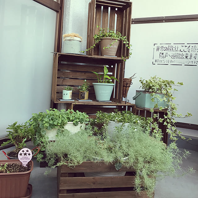 megu47さんの実例写真