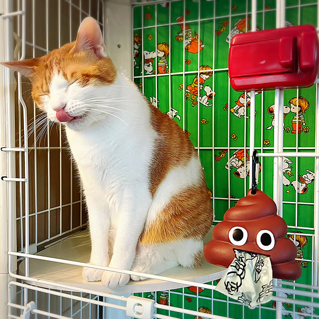 meさんの実例写真