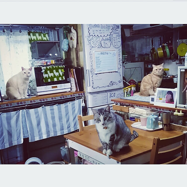 mntcさんの実例写真