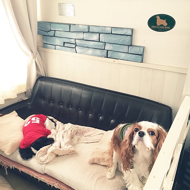 Sumomoaporomamaさんの実例写真