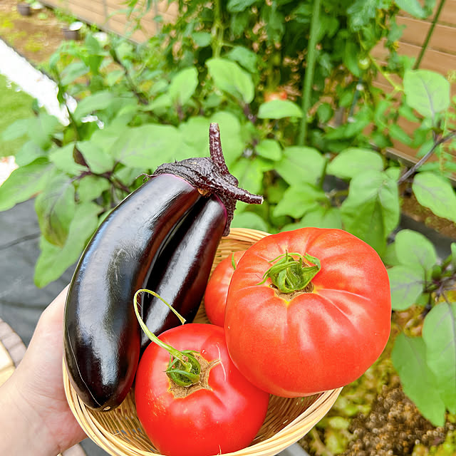 chanduさんの実例写真