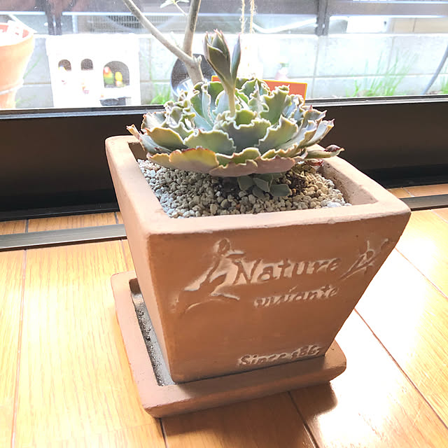 CoffeeHouseさんの実例写真