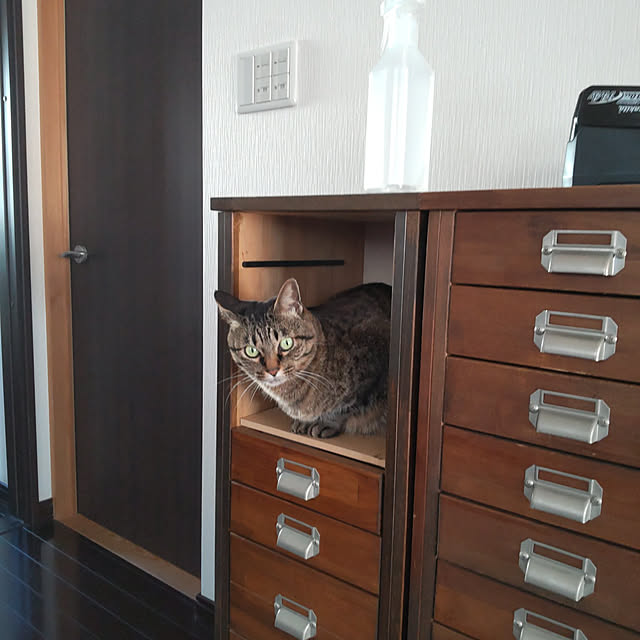 komugiさんの実例写真