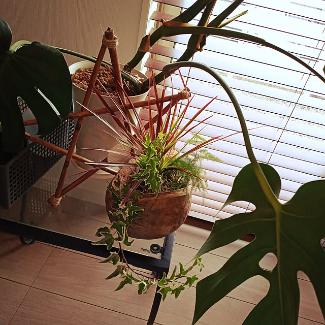 i0101zさんの実例写真