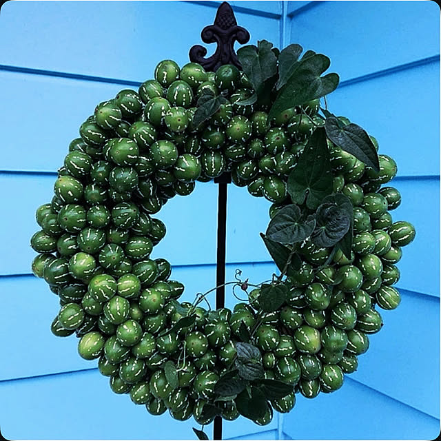 Ohigeさんの部屋