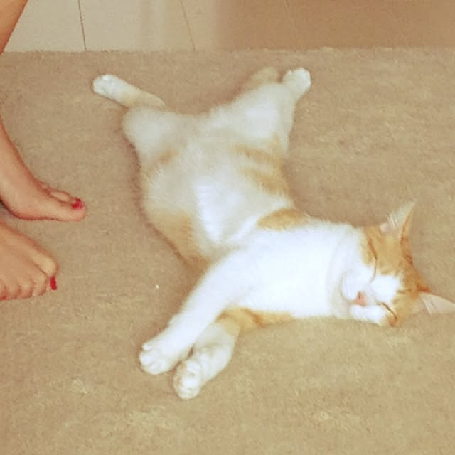 yoshinari_tokuteruさんの実例写真