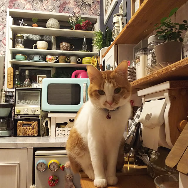 uutann320mozukuさんの実例写真
