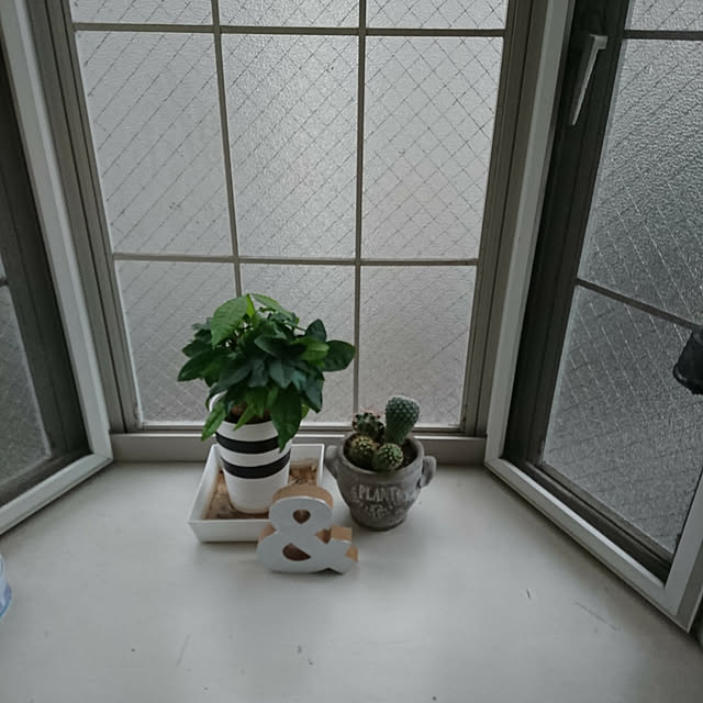 kyoko_aさんの実例写真