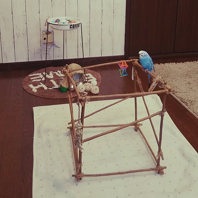 opiopiopiさんの実例写真