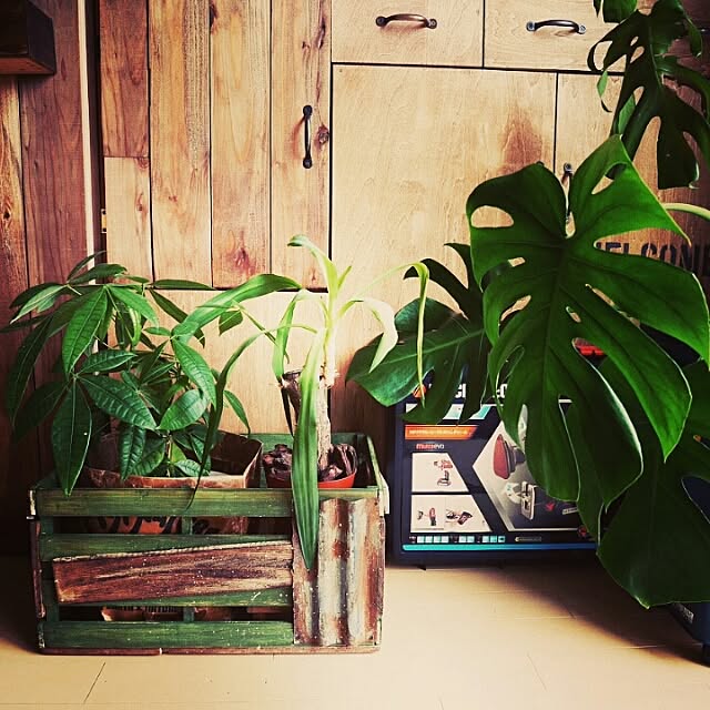 andante365さんの実例写真
